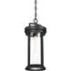 Huron 1 Light 8 inch Aged Bronze and Clear Outdoor Hanging Lantern