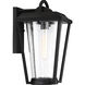 Lakeview 1 Light 16 inch Aged Bronze and Clear Outdoor Wall Mount