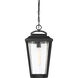 Lakeview 1 Light 9 inch Aged Bronze and Clear Outdoor Hanging Lantern