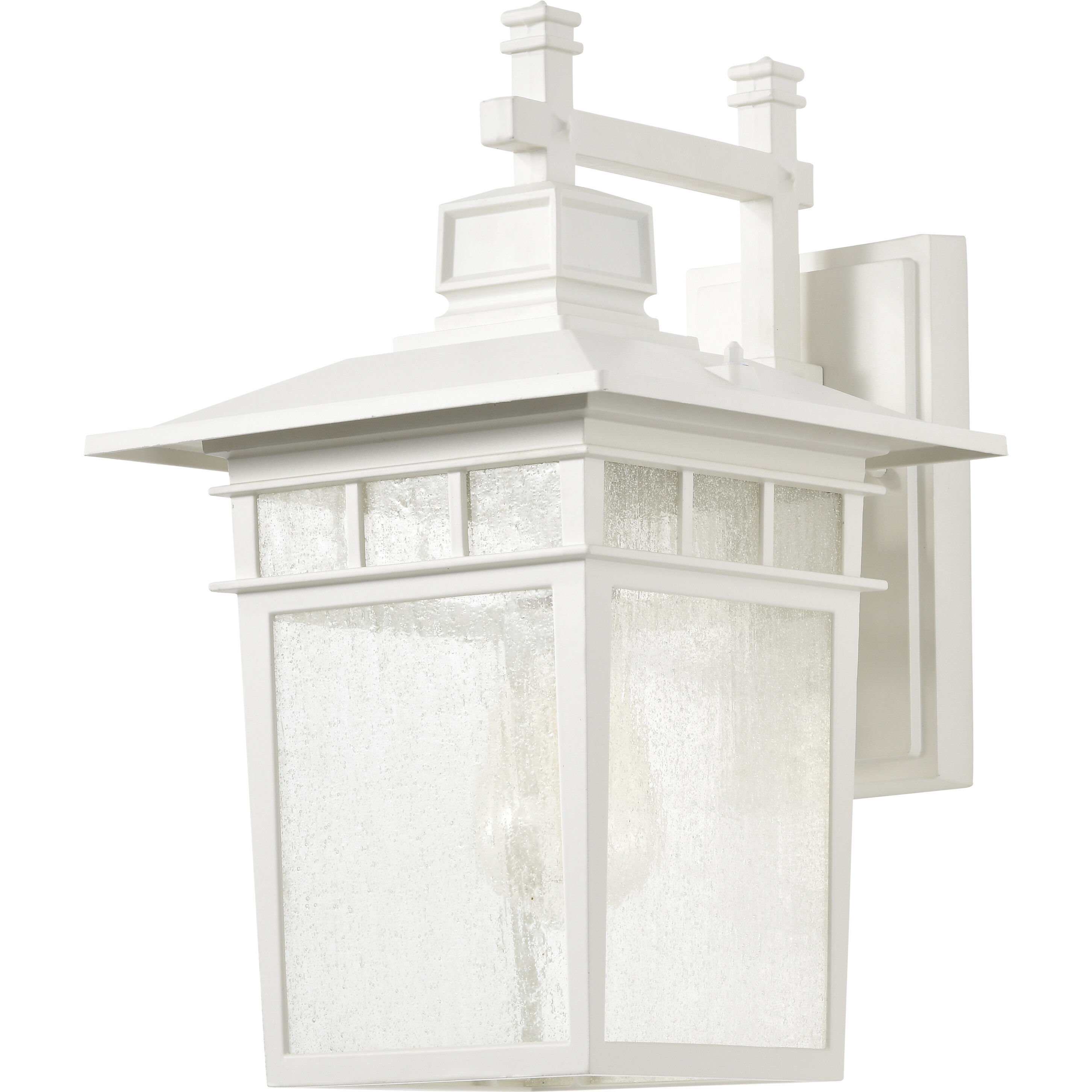 Cove Neck 1 Light 14 inch White and Clear Seeded Outdoor Wall Light