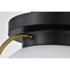 Lakeshore 1 Light 10 inch Matte Black Flush Mount Ceiling Light