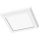 Blink LED 5 inch White Edge Lit Ceiling Light