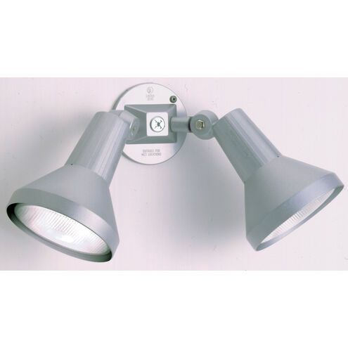 Brentwood 2 Light 5 inch Gray Outdoor Flood Light