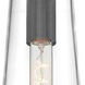 Alondra 1 Light 4 inch Black Pendant Ceiling Light