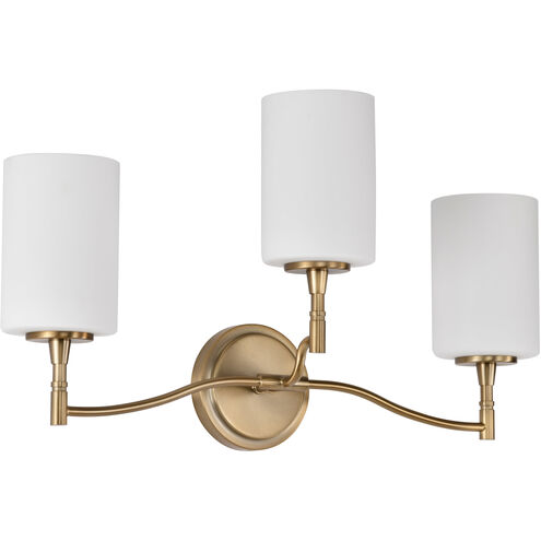 Liam 22 inch Burnished Brass Vanity Wall Light