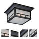 Drexel 2 Light 11 inch Stone Black Outdoor Flush Mount