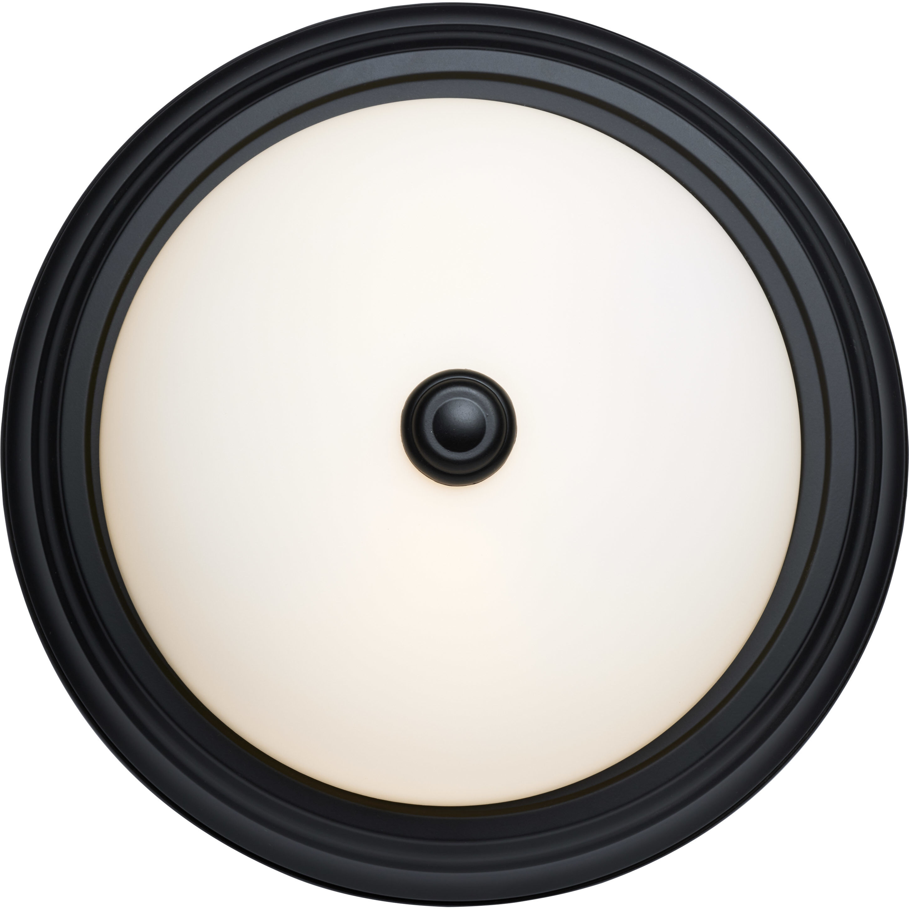 Brentwood 2 Light 13.25 inch Matte Black Flush Mount Ceiling Light