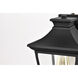 Jasper 11 inch Matte Black Outdoor Wall Lantern, Small