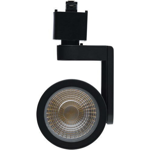 Lantern 1 Light 120 Black Track Lighting Ceiling Light