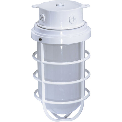 Brentwood 1 Light 6 inch White Outdoor Ceiling Mount