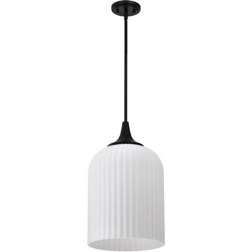 Solara 12 inch Matte Black Pendant Ceiling Light