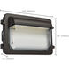 ColorQuick;PowerQuick 15.55 inch Bronze Emergency Lighting Wall Light