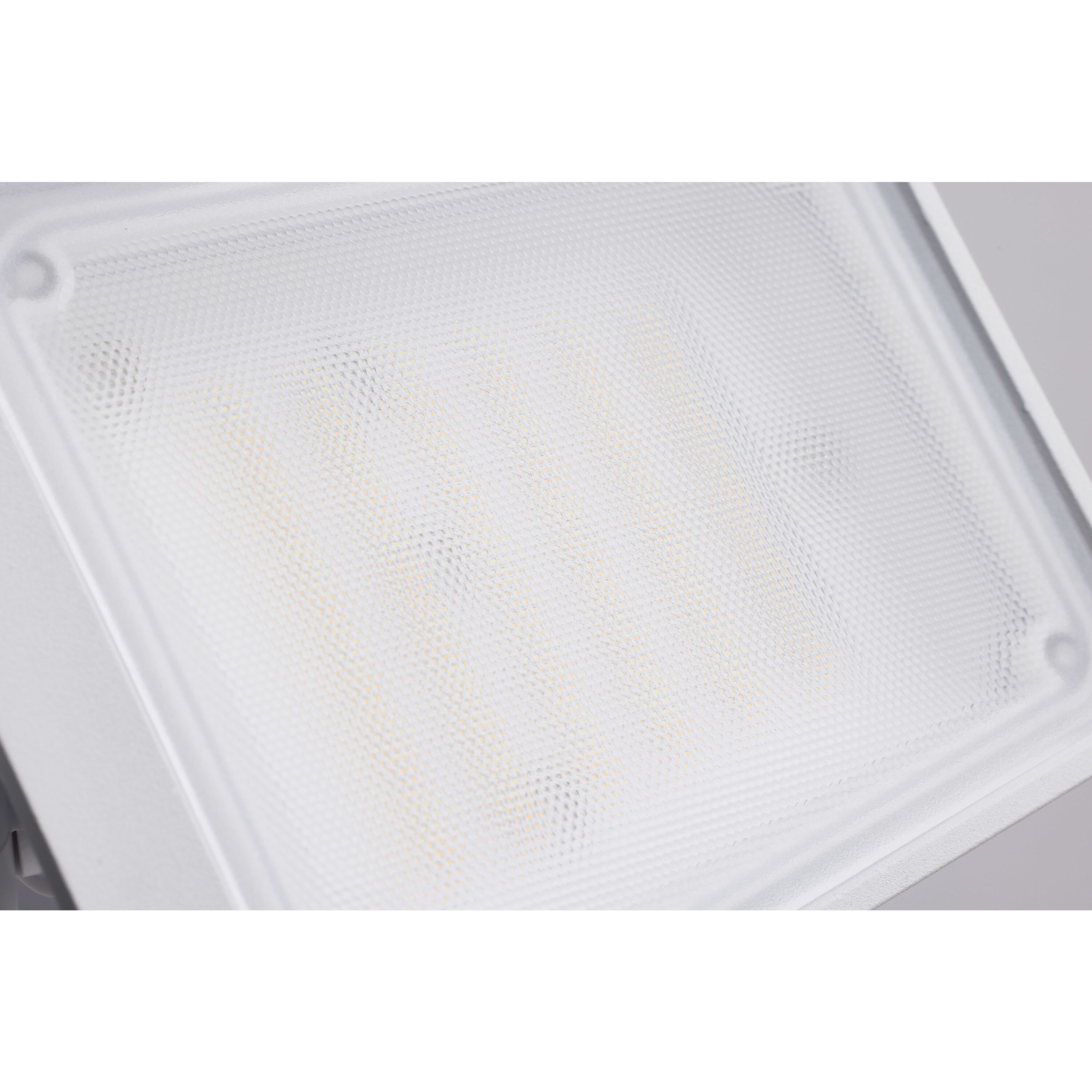 Starfish Outdoor Security Light