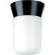 Brentwood 1 Light 4 inch Black Outdoor Ceiling Mount
