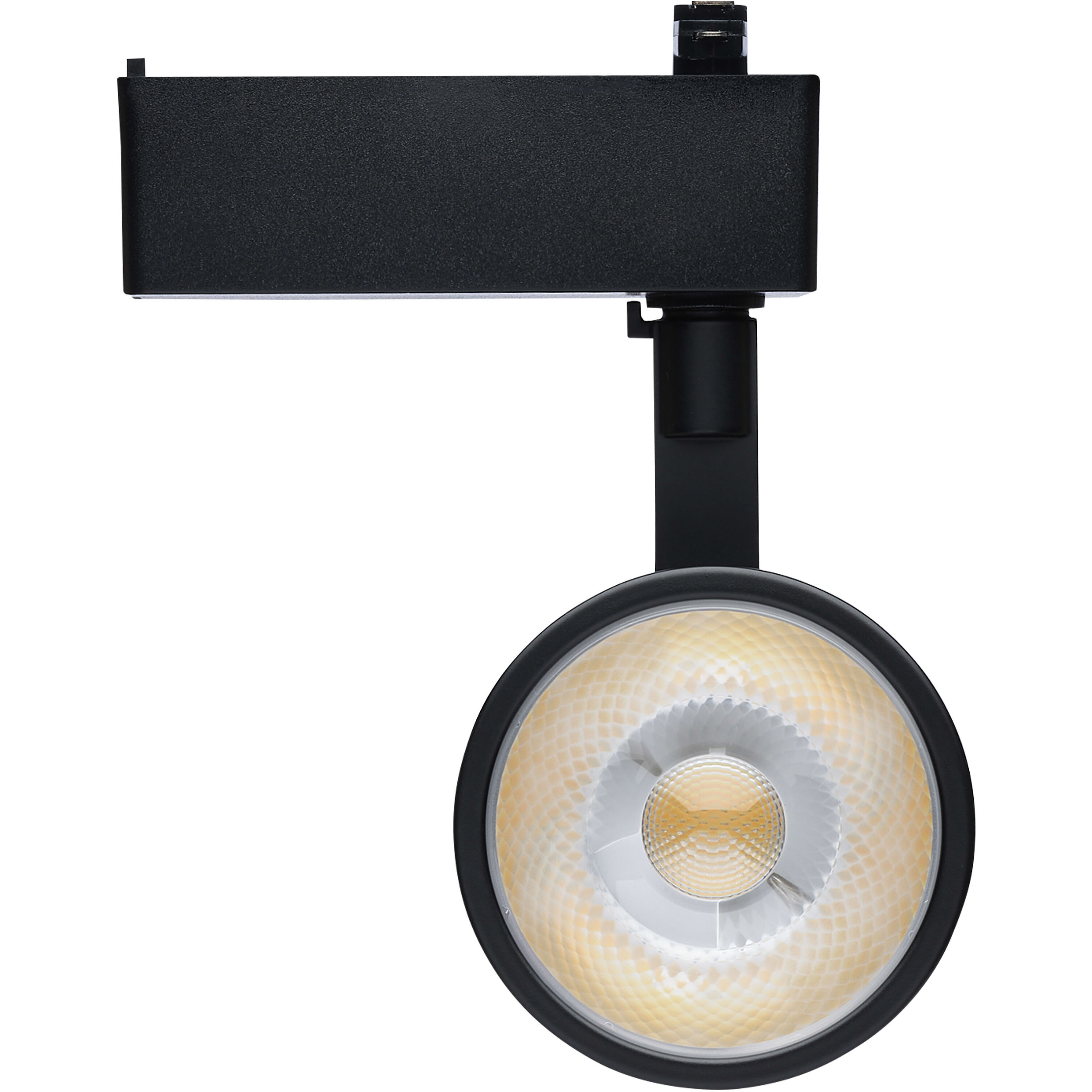 Brentwood 1 Light 120 Matte Black Track Lighting Ceiling Light