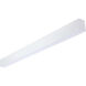 Momentum LED 2.36 inch White Linear Strip Ceiling Light