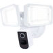 Starfish Outdoor Security Light