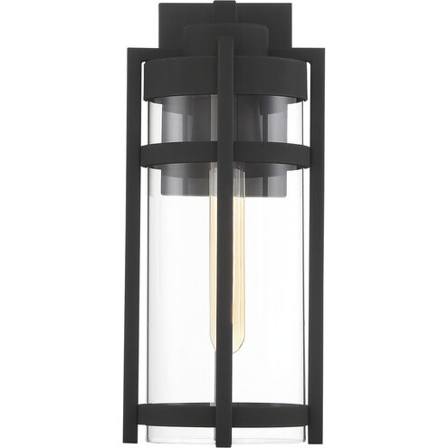 Tofino 1 Light 15 inch Textured Black and Clear Seeded Outdoor Wall Lantern, Medium