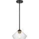 Starlight 1 Light 10.25 inch Matte Black and Natural Brass Pendant Ceiling Light
