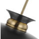 Perkins 1 Light 19.63 inch Matte Black/Burnished Brass Pendant Ceiling Light