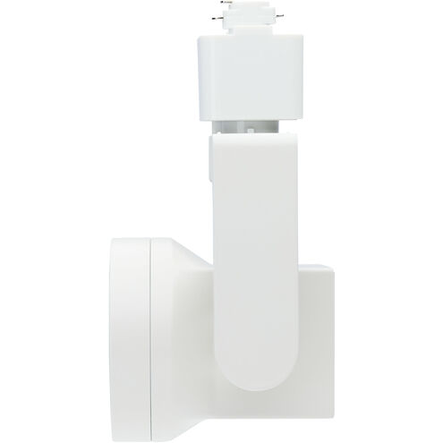 Lantern 1 Light 120 White Track Lighting Ceiling Light