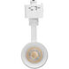ColorQuick 120 Matte White Track Lighting Ceiling Light