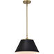 Dover 1 Light 14 inch Black/Vintage Brass Pendant Ceiling Light