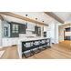 Melrose LED 2.4 inch Matte Black Pendant Ceiling Light