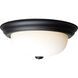 Brentwood 2 Light 13.25 inch Matte Black Flush Mount Ceiling Light