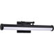 Cora LED 24.25 inch Black Vanity Wall Light
