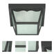 Brentwood 2 Light 10 inch Black Outdoor Flush Mount