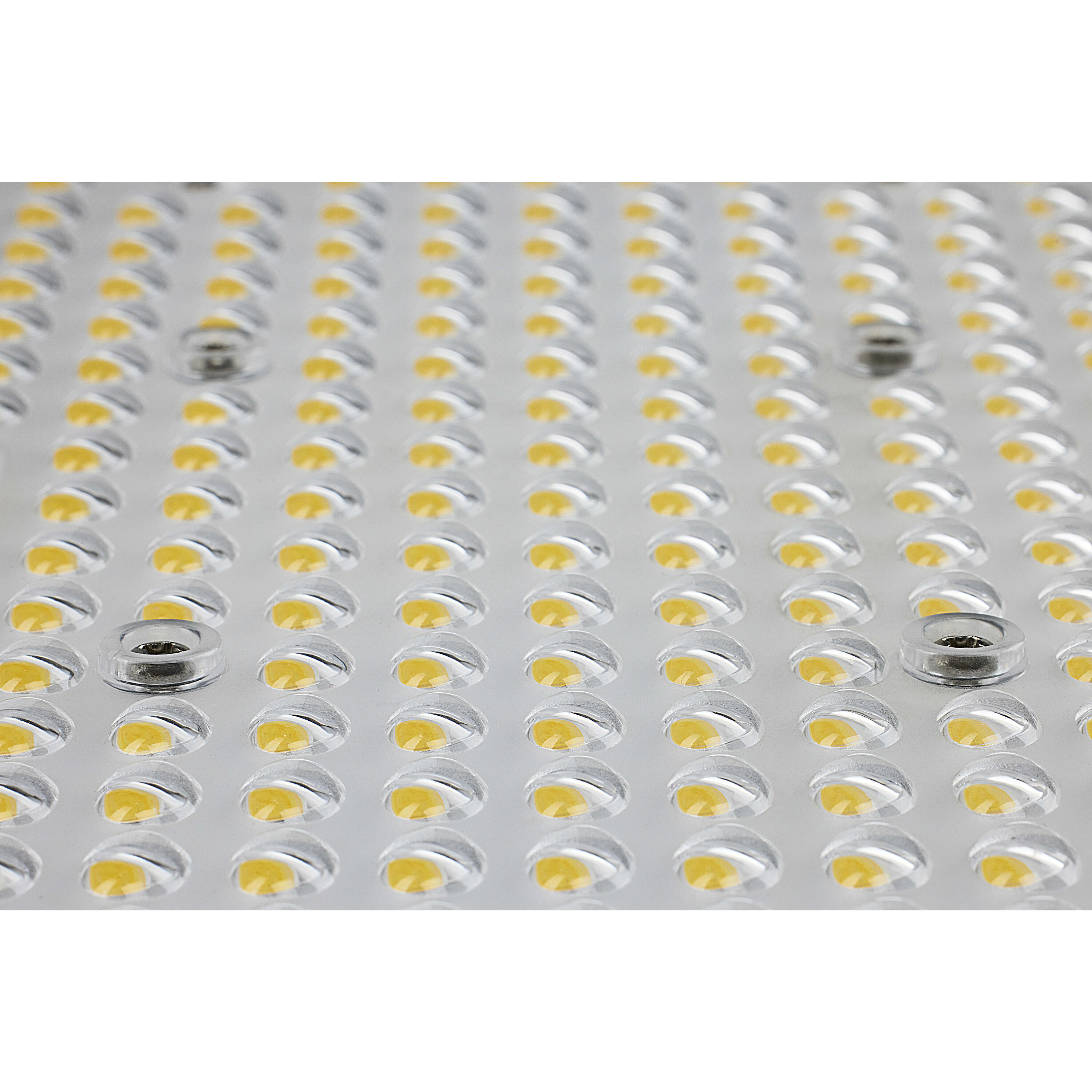 Area Lights IV Bronze Area Light