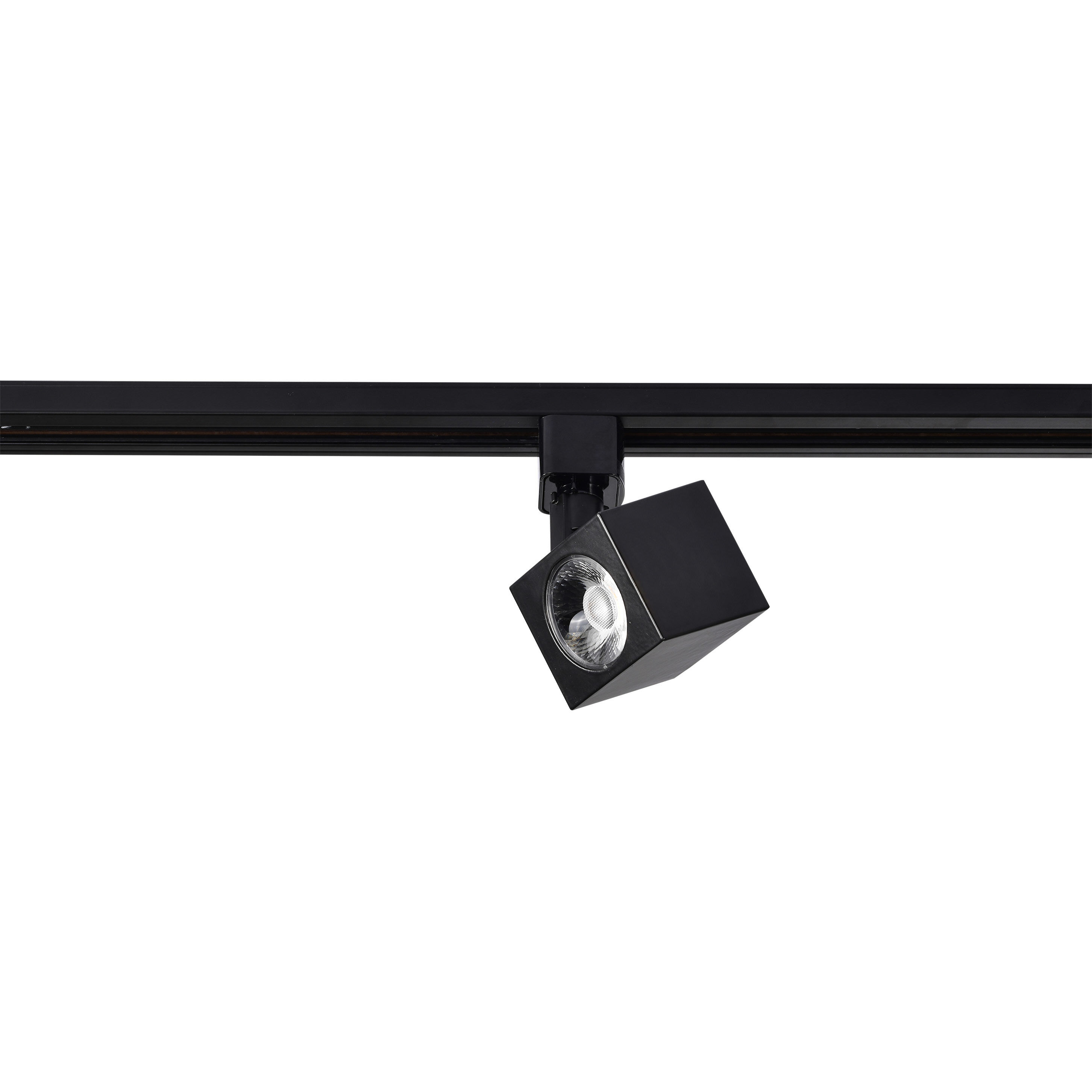 Brentwood 1 Light 120V Black Track Head Ceiling Light