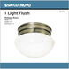 Brentwood 1 Light 8 inch Antique Brass Flush Mount Ceiling Light