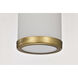 Roselle 3.75 inch Natural Brass Pendant Ceiling Light