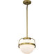 Lakeshore 1 Light 10 inch Natural Brass Pendant Ceiling Light