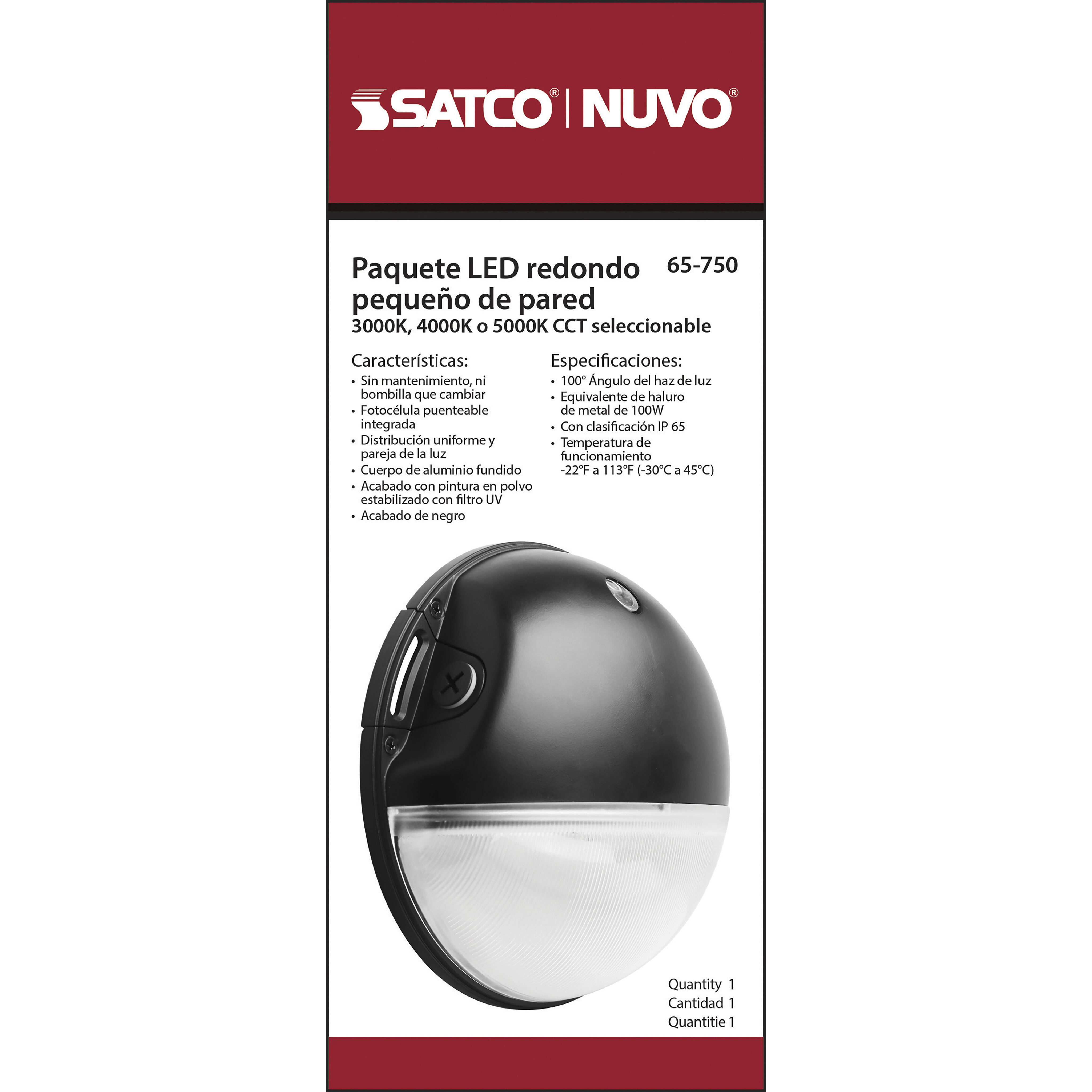 Brentwood LED 9 inch Black Outdoor Wall Pack