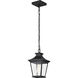 Jasper 8 inch Matte Black Outdoor Hanging Lantern