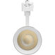ColorQuick 120 Matte White Track Lighting Ceiling Light
