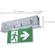 Running Man LED 19.74 inch Brushed Aluminum Exit & Emergency Ceiling Light
