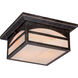 Canyon 2 Light 11.25 inch Umber Bronze Outdoor Flush Mount