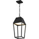 Colt LED 9.5 inch Matte Black Outdoor Hanging Light