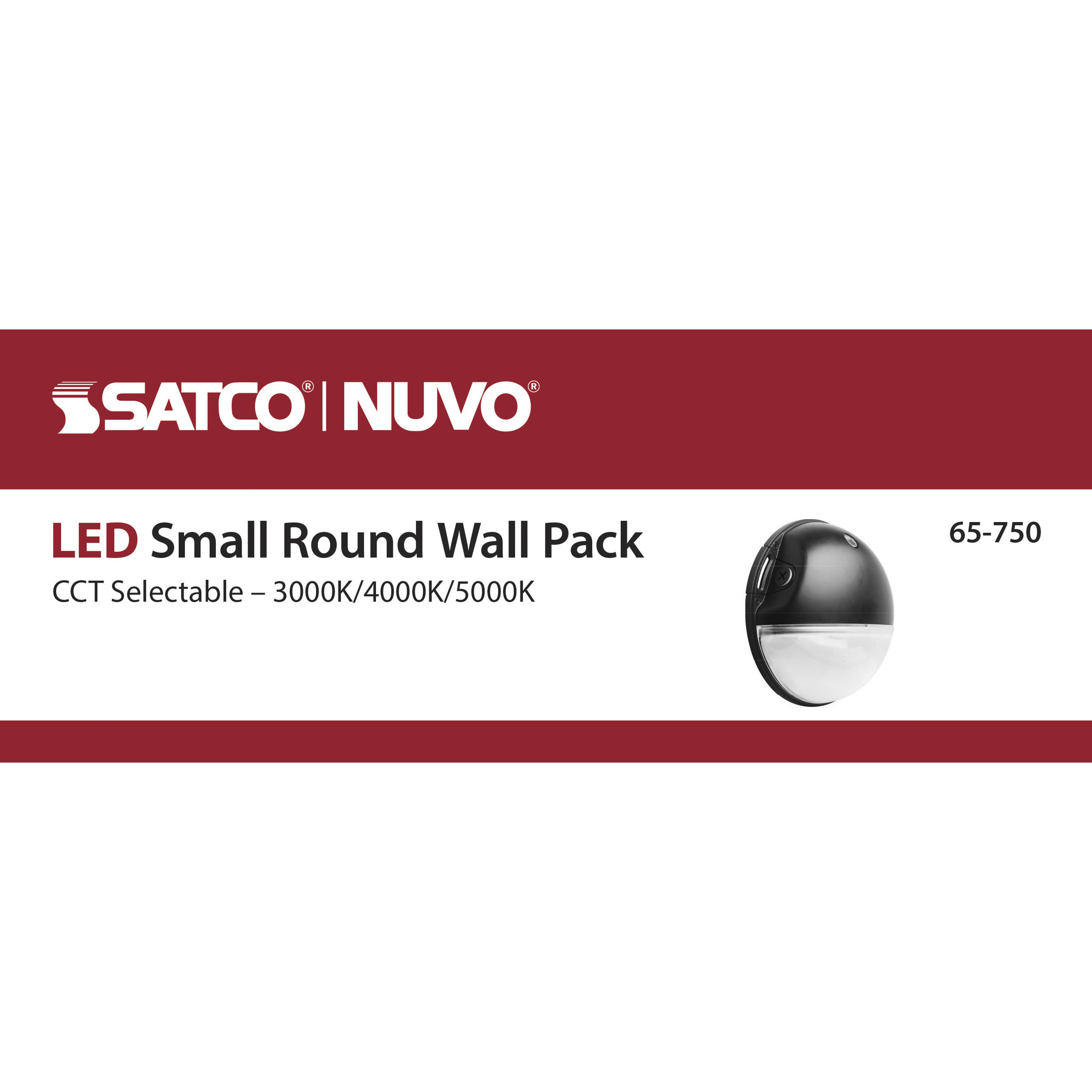 Brentwood LED 9 inch Black Outdoor Wall Pack