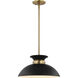 Perkins 1 Light 15 inch Matte Black/Burnished Brass Pendant Ceiling Light