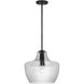Destin 1 Light 14 inch Black with Silver Accents Pendant Ceiling Light