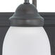Ballerina 2 Light 18 inch Mahogany Bronze Vanity Light Wall Light