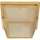 Brentwood 2 Light 9 inch Polished Brass Outdoor Flushmount