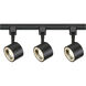 Brentwood 3 Light 120V Black Track Kit Ceiling Light