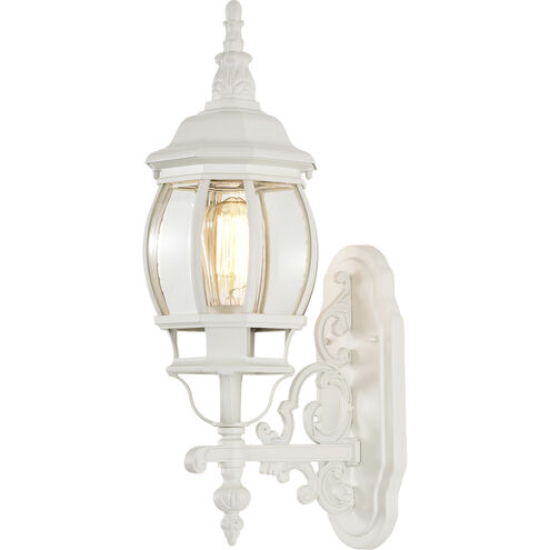 Central Park 1 Light 20 inch White Outdoor Wall Lantern