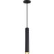 Century LED 2.56 inch Matte Black and Brushed Brass Pendant Ceiling Light